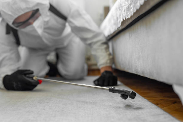 Professional Termite Control technician working in Marlin, TX