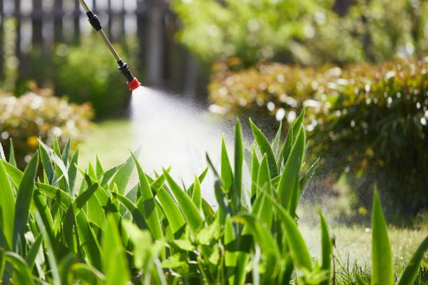 24/7 Emergency Termite Control experts in Marlin, TX