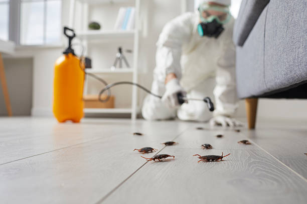 Affordable Termite Control solutions in Marlin, TX